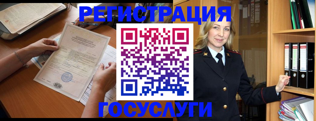 временная регистрация недорого в Светлогорске
